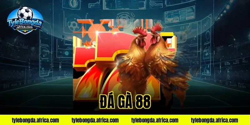 đá gà 88