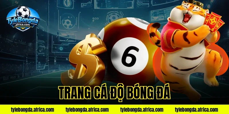 trang cá độ bóng đá