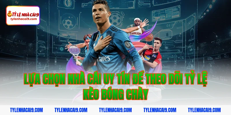 Lựa chọn nhà cái uy tín để theo dõi tỷ lệ kèo bóng chày