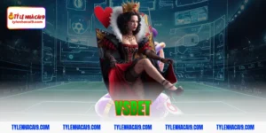 vsbet