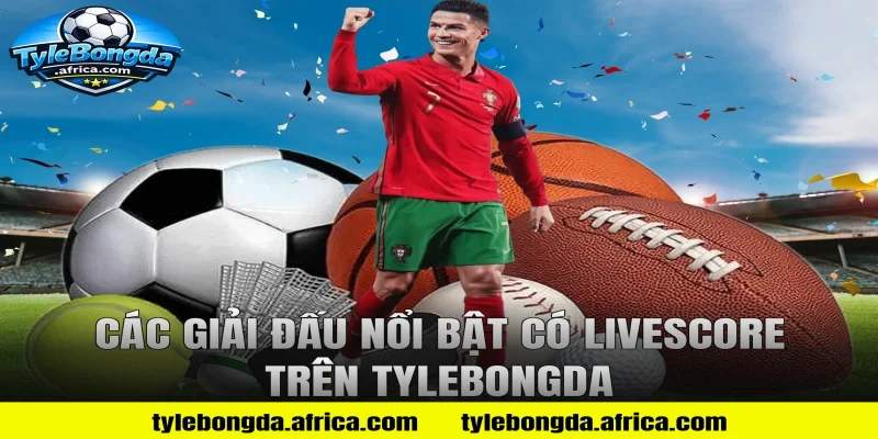 Các Giải Đấu Nổi Bật Có Livescore Trên Tylebongda