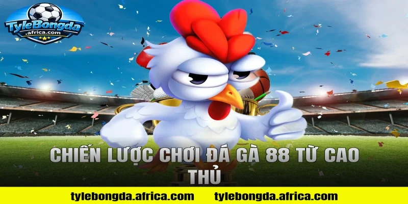Chiến lược chơi Đá gà 88 từ cao thủ