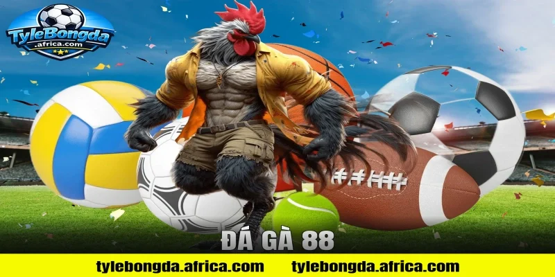 đá gà 88