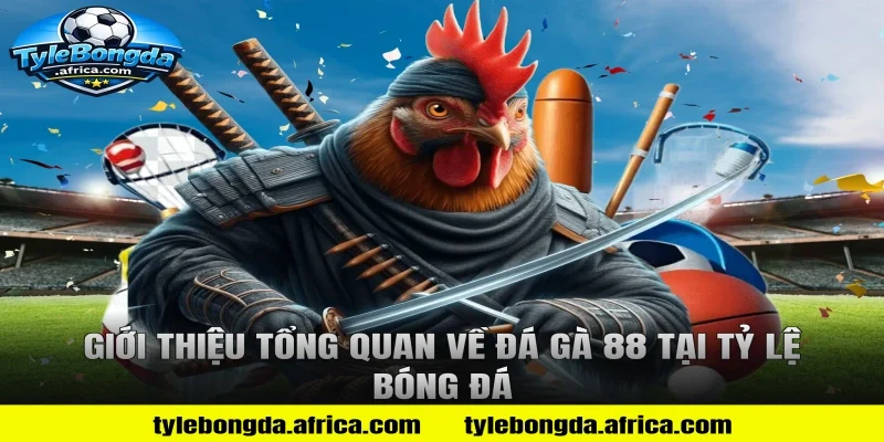 Giới thiệu tổng quan về đá gà 88 tại Tỷ lệ bóng đá
