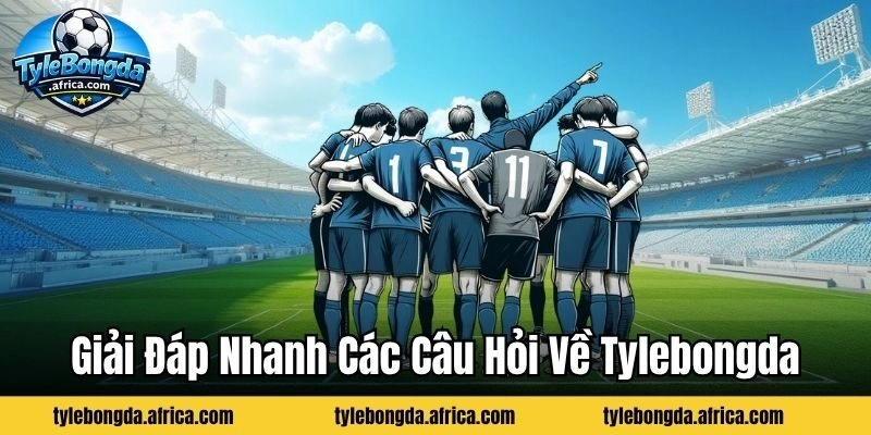 Hỏi đáp nhanh các câu hỏi về Tylebongda