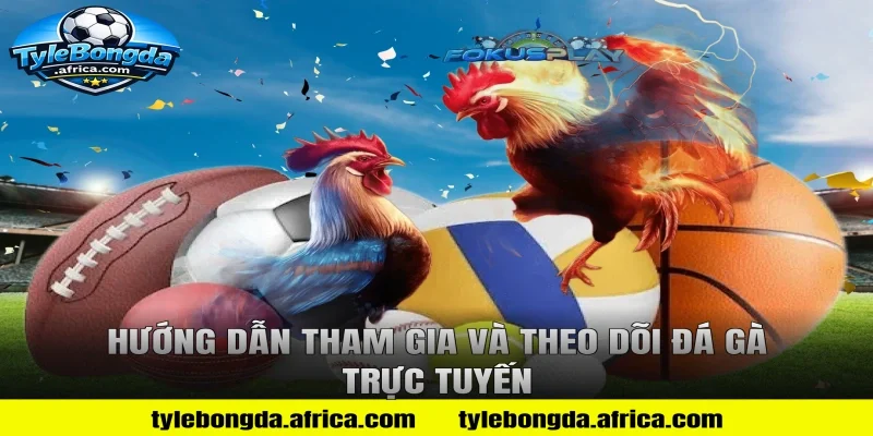 Hướng dẫn tham gia và theo dõi đá gà trực tuyến