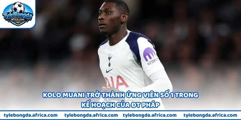 Kolo Muani trở thành ứng viên số 1 trong kế hoạch của ĐT Pháp