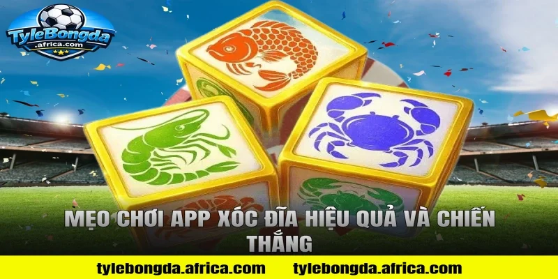 Mẹo Chơi App Xóc Đĩa Hiệu Quả Và Chiến Thắng