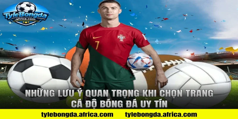 Những lưu ý quan trọng khi chọn trang cá độ bóng đá uy tín