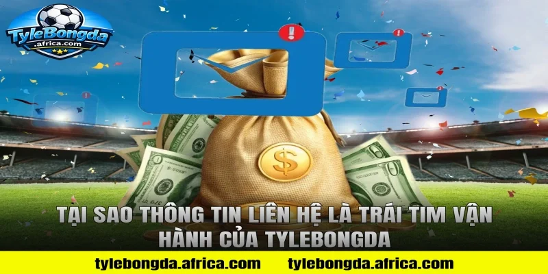 Tại Sao Thông Tin Liên Hệ Là Trái Tim Vận Hành Của Tylebongda