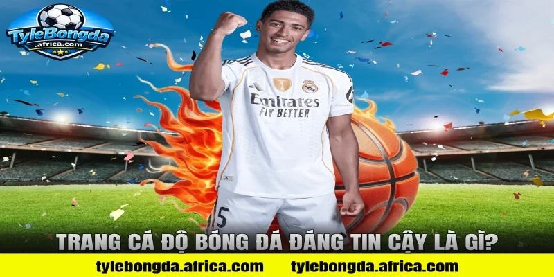 Trang cá độ bóng đá đáng tin cậy là gì?